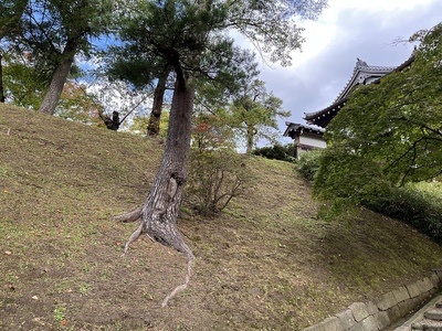 一の門脇の土塁