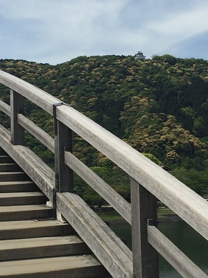 錦帯橋から天守の遠景