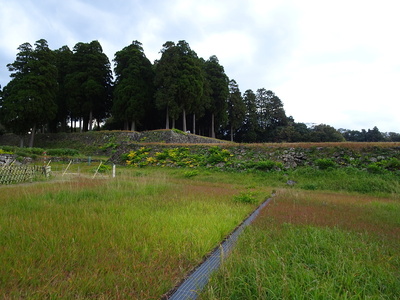 二の丸と三の丸石垣