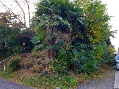 頼政神社(郭跡)