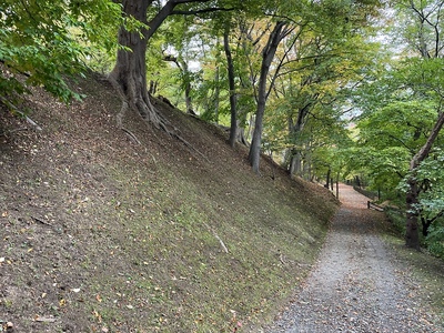 本丸西側の土塁