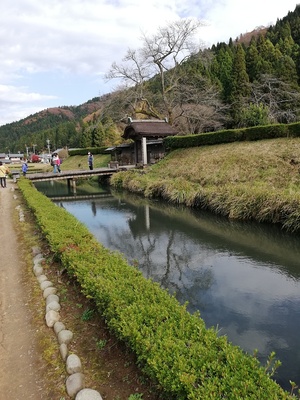 朝倉館跡西側の水堀