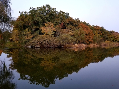 御所沼と城址