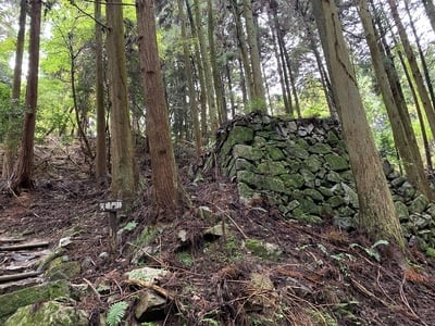 矢場門跡石垣