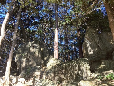 天白磐座遺跡（渭伊神社本殿裏）