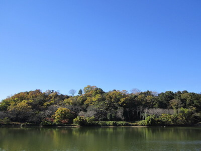 城池と韮山城跡(龍城山)全景