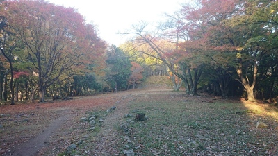 本丸の大広間跡