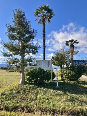 加賀野井城（跡地風景）