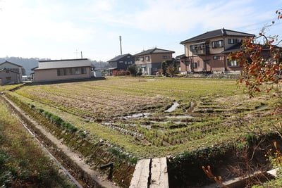 堀跡の田んぼ