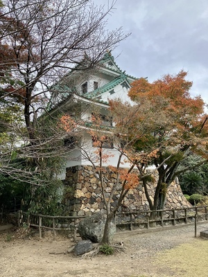 龍泉寺城（紅葉の残る天守）