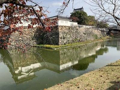 水堀、本丸石垣、犬走り