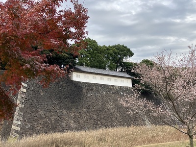 富士見多聞櫓(乾通りより)