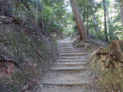 酒解神社から山頂への道