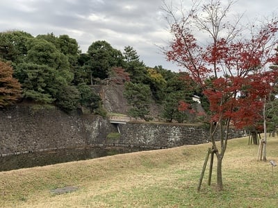 西詰橋と紅葉