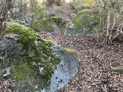 山頂手前登城路