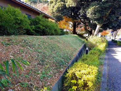 土塁跡＠八幡郭