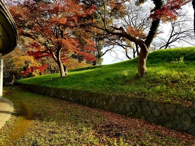 本丸土塁(城内側)