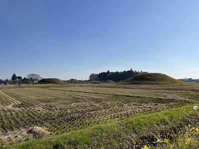 野古墳群