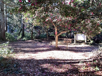 観音寺城・本丸跡