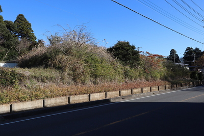 主郭北面の土塁跡(撫木8号墳)