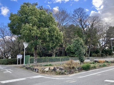 山崎城（山崎神明社 遠景）