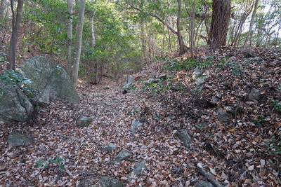 三岳城 一の城（本丸）西の堀と土塁