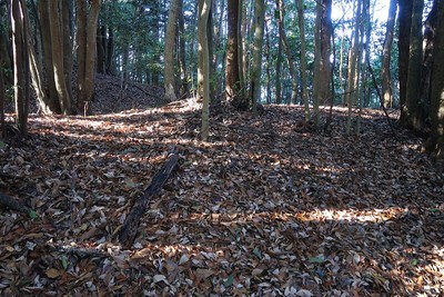 三岳城 二の城（二の丸）堀切の土塁