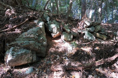 三岳城 二の城（二の丸）石積