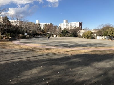 野庭中央公園