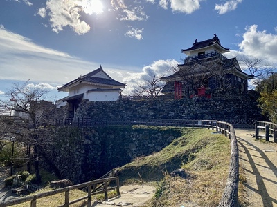 富士見櫓跡から見る 天守と天守門