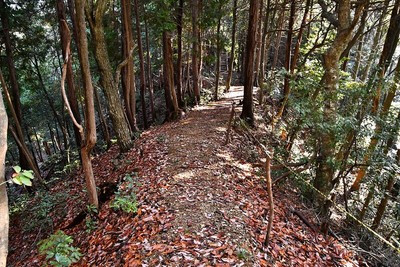 尾根道（土橋９