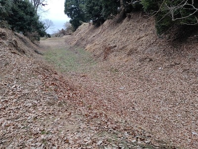 一の堀(登城道から撮影)