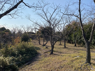 西の丸からの狼煙台