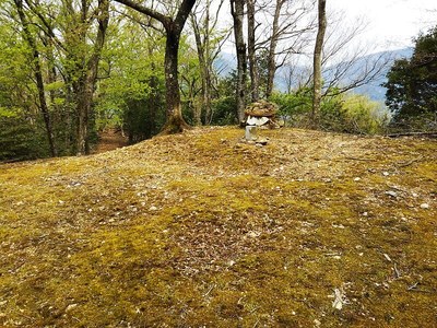 山頂三角点（主郭）