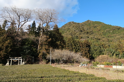 滝山城 宮嵜神社と城山遠景