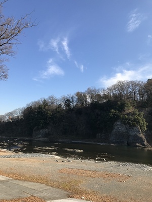 荒川対岸からの鉢形城址