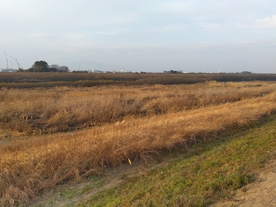 本丸城址風景