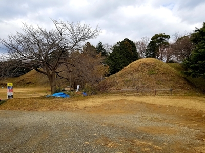 本丸西側土塁