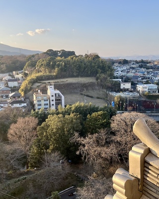 小田原城八幡山古郭（天守から）