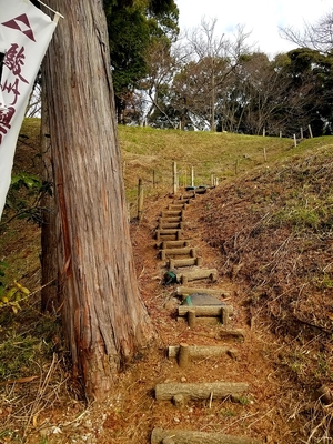 本丸土塁(北東隅)