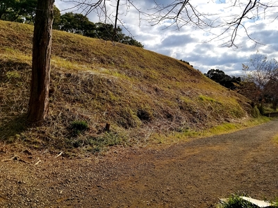 本丸東側土塁