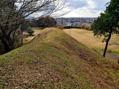 本丸東側土塁