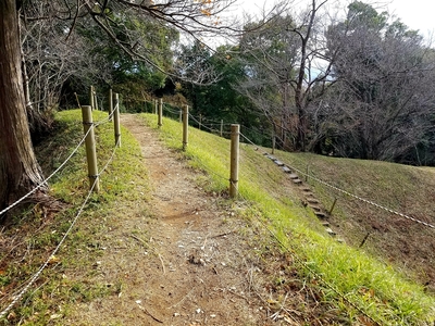 本丸土塁上