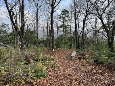 大鳳山砦跡