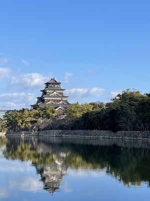 東側外堀からの天守の眺め