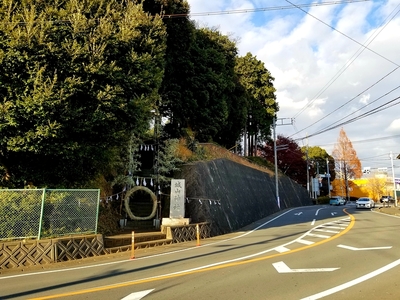 南曲輪・八幡曲輪(城山神社)