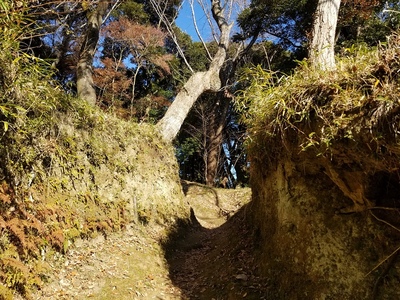 袋狭間(上部)