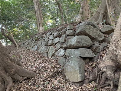 イバノヲ・大タオの石垣