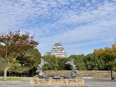 姫路城城見台公園より