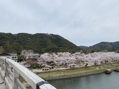 錦帯橋からの岩国城